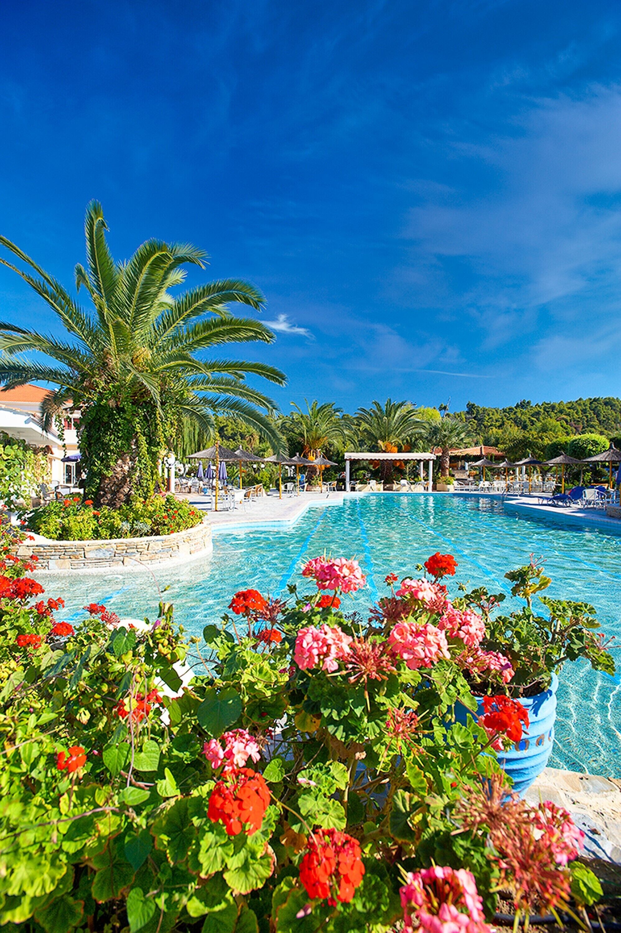 2 piscinas al aire libre, sombrillas, sillones reclinables de piscina