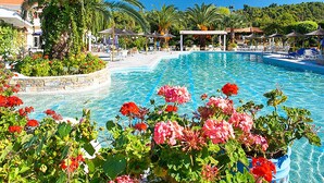 Un área de piscina con palmeras y flores en macetas.