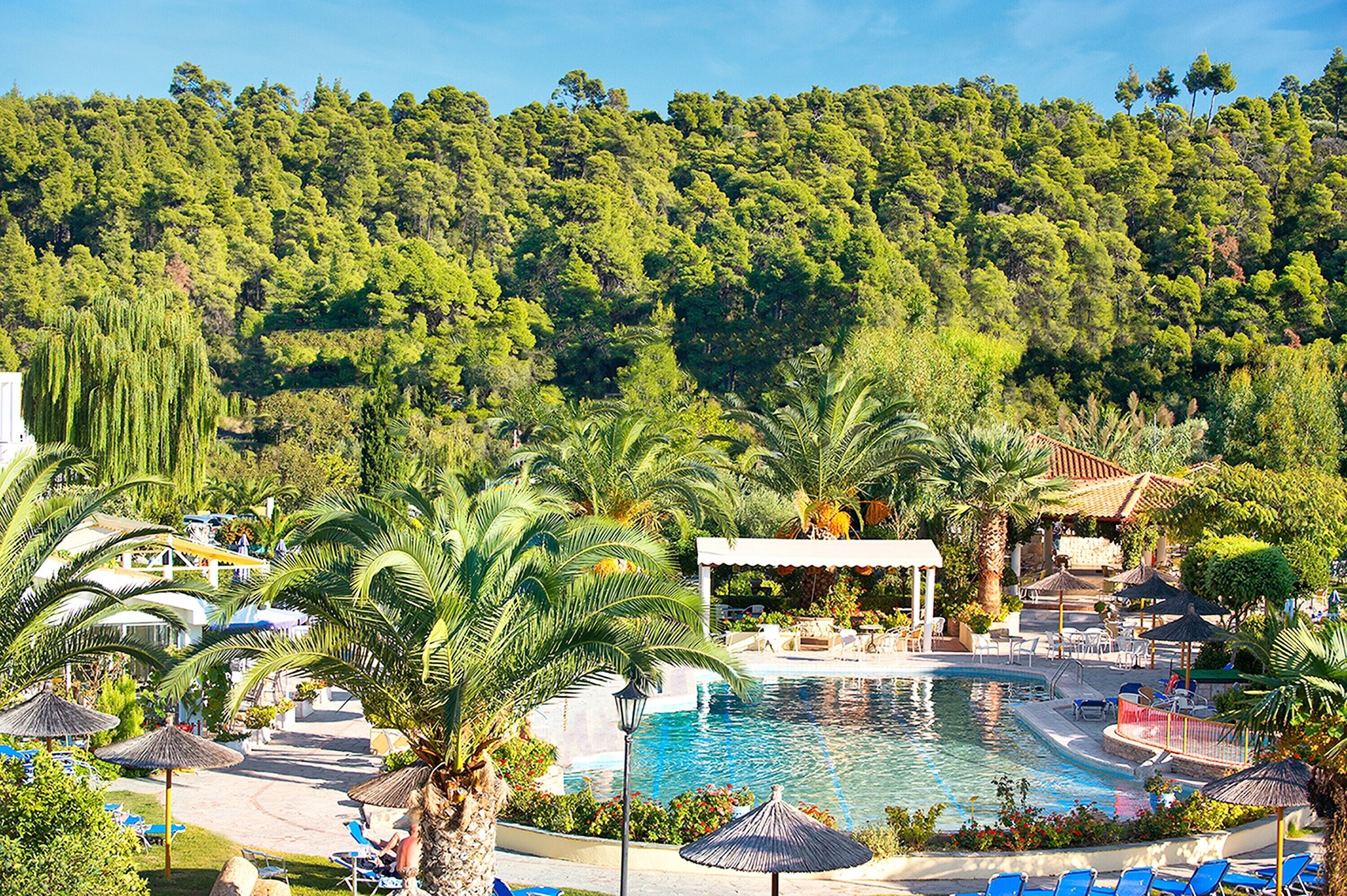 A resort pool area with a clear view of the surrounding forest, lounge chairs, and umbrellas.