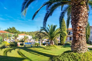 Property grounds - Chrousso Village (Kassandra)