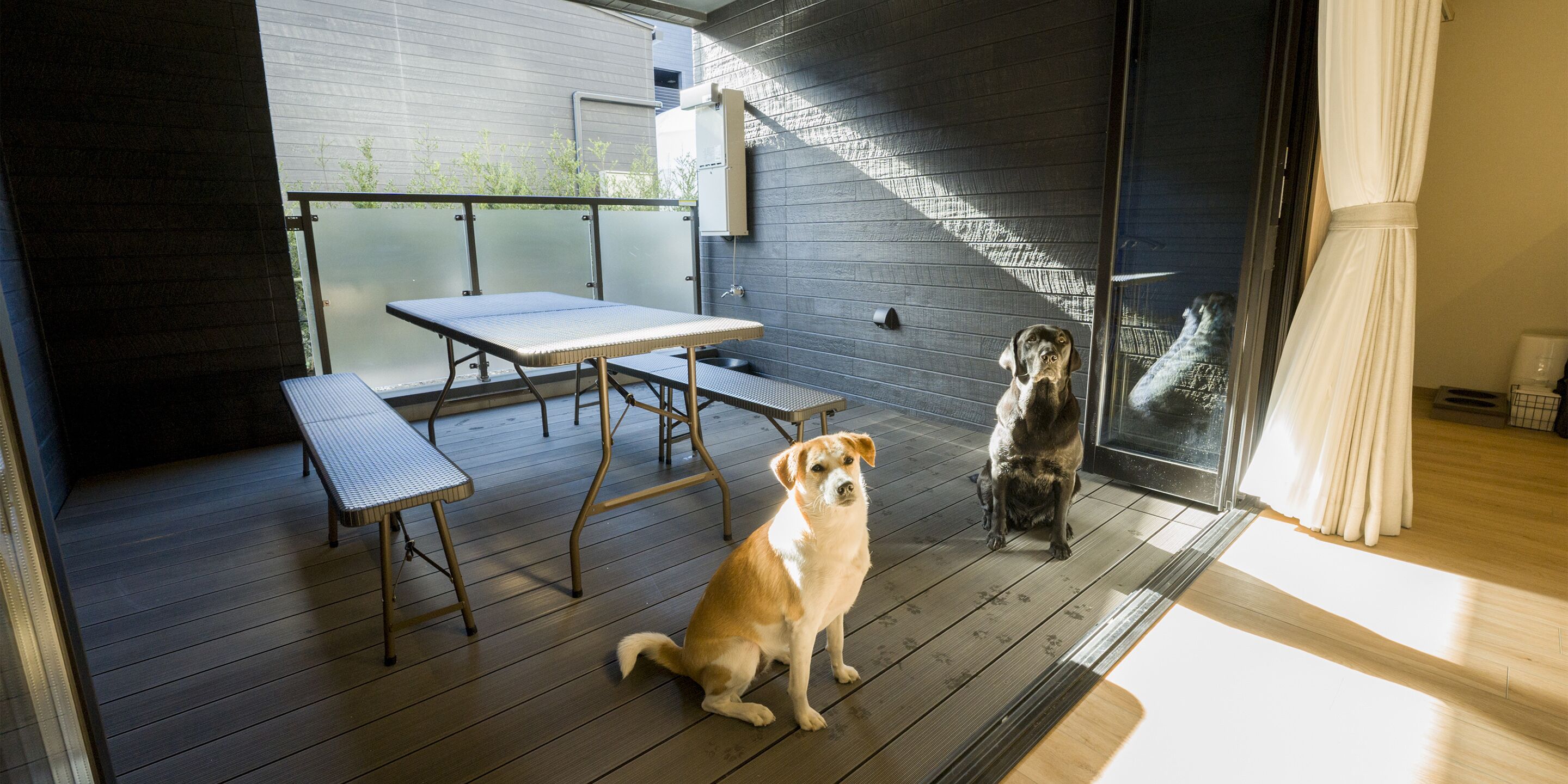 A covered patio area with a table and benches, two dogs, and a view of a building through a glass door.