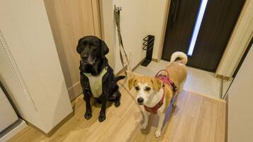 Two dogs, one black and one brown, in a hallway with wooden flooring and a door in the background.