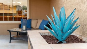 A patio area with a seating arrangement, a large blue agave plant, and a stone planter.