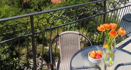 Apartments Jovanovic - Alkima