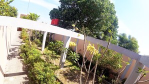 A garden area with various plants and trees, a white fence, and a building in the background. - Next Trip Homestay Jogja (Jogja)