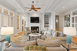 TV, fireplace, books