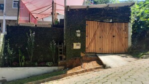 Uma entrada fechada com porta de madeira, um caminho de concreto e uma parede coberta de vegetação.