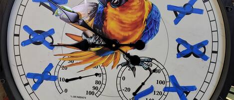 A clock with a colorful parrot design and the phrase "COCK SOMETHING" on its face.