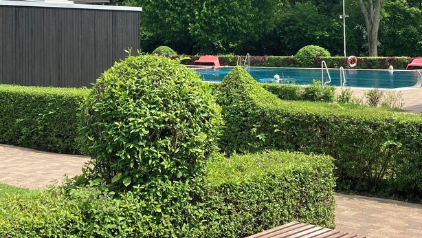 Un espace piscine avec un panneau indiquant « LOSSBORN » et un banc en bois.