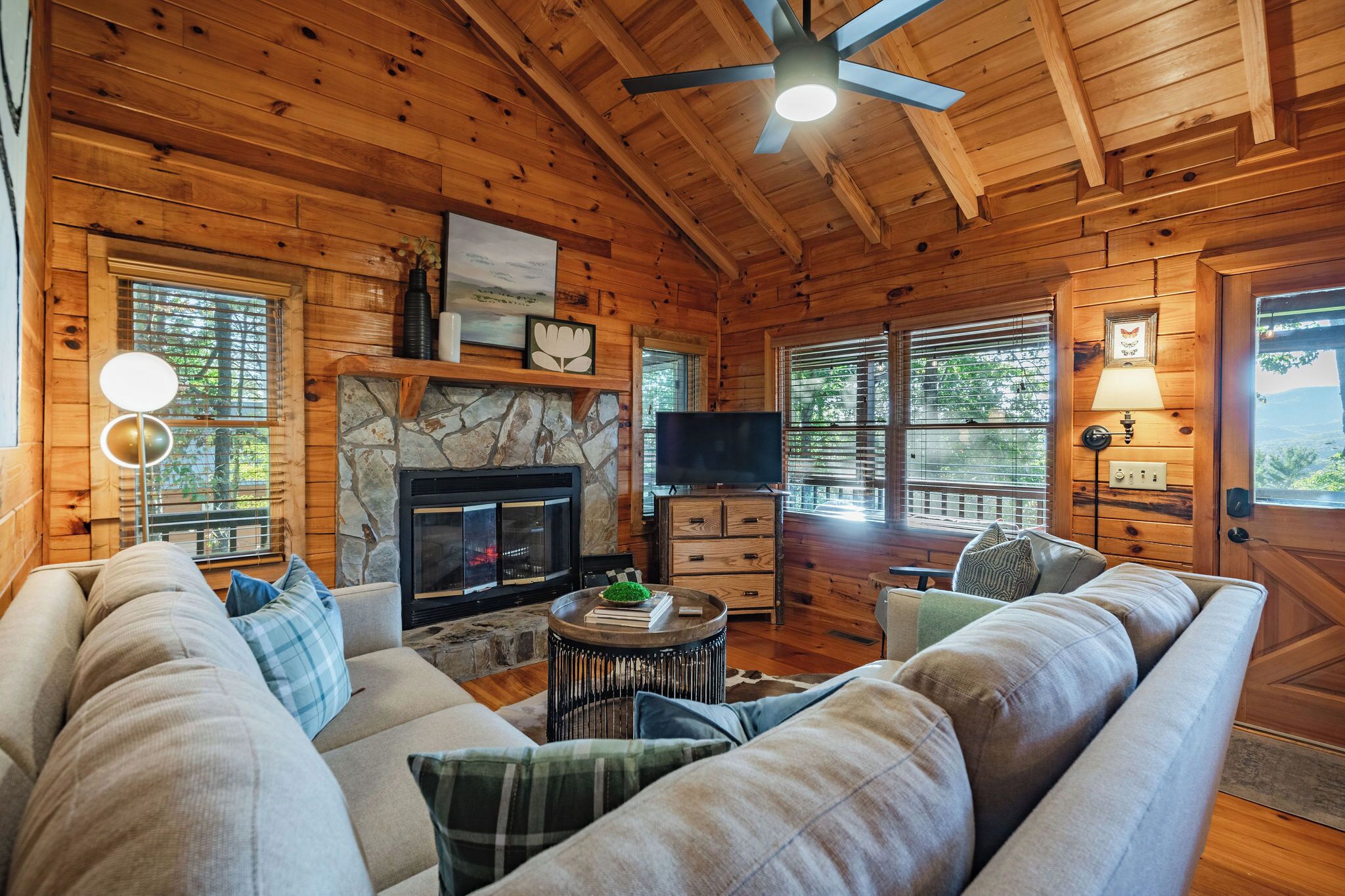 Smart TV, fireplace, DVD player, books