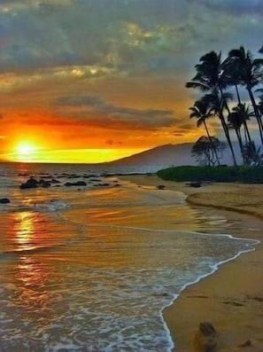 Plage à proximité
