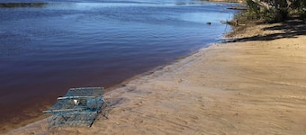 River retreat, stay on working farm acreage 15 minutes to Port Macquarie.