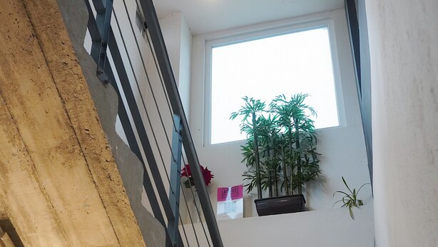 A staircase with metal railings, a concrete wall, and a window with a plant. - Adhoc Cintermex (Monterrey)