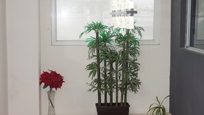A room with a large window, a potted plant, and a vase with red flowers on a white shelf. - Adhoc Cintermex (Monterrey)