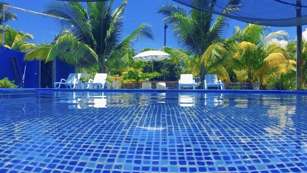 Ein Swimmingpool mit hellblauen Fliesen, umgeben von Palmen und Liegestühlen.
