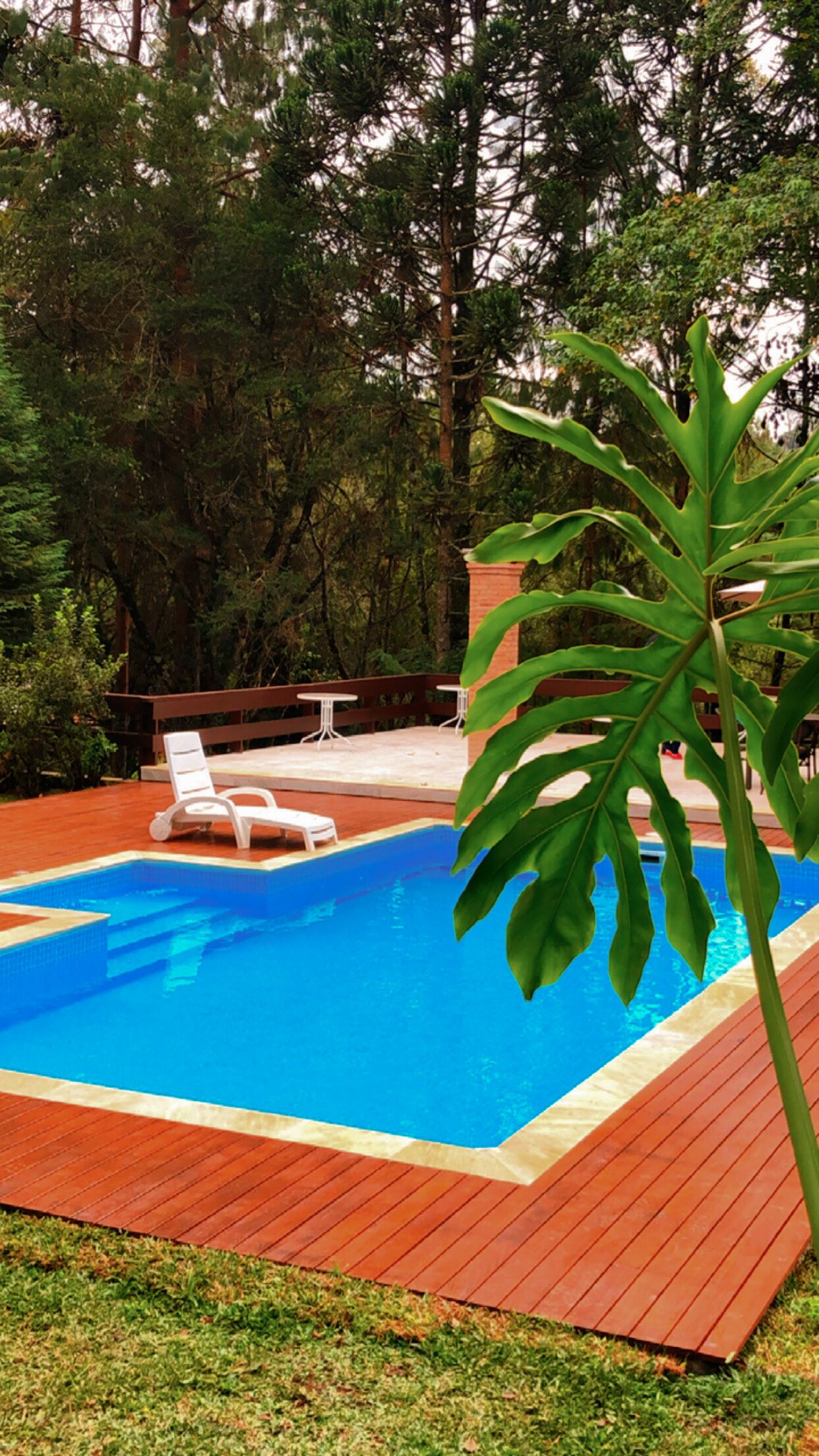 Una piscina al aire libre, sombrillas, tumbonas