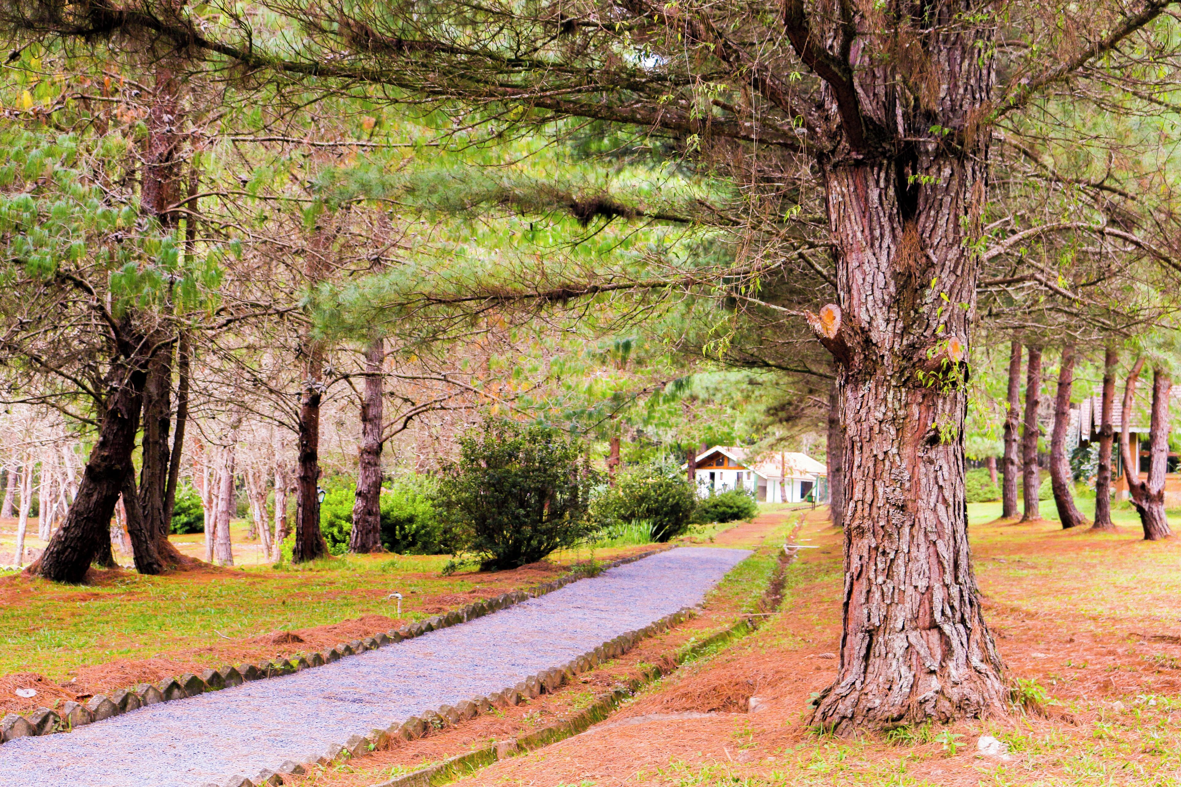 Foto - Pousada O Cantinho da Raposa