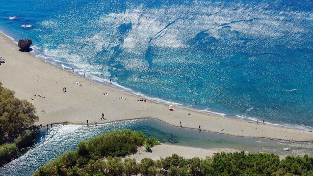 Ein Strand mit klarem Wasser, Personen und Bäumen.
