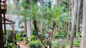 Ein Gartenpfad, gesäumt von verschiedenen Pflanzen und Bäumen, führt zu einer hölzernen Pergola.