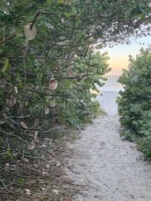 Beach - North Captiva Island- Ocean bay views and modern decor. Two new carts! (Captiva)