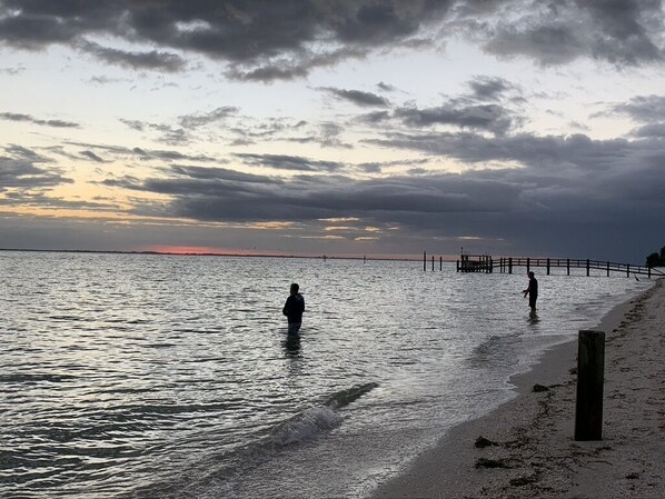 Playa