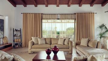 Smart TV, fireplace, books, stereo
