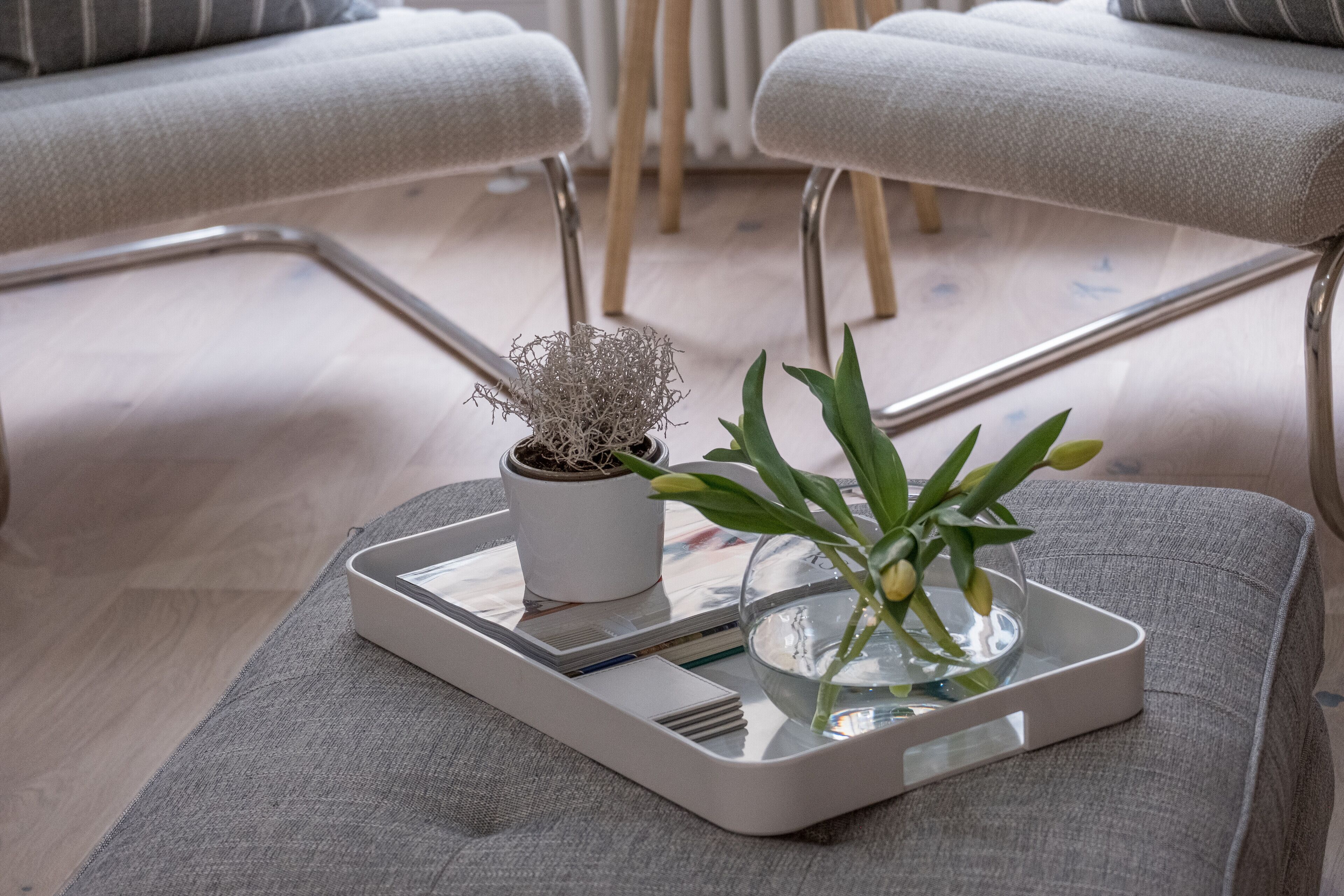 Un salon moderne avec un canapé gris, une table basse sur laquelle se trouve un plateau avec une plante en pot et un verre d’eau, et un radiateur en arrière-plan.