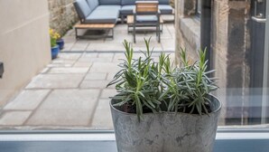 A view of a stone patio with a grey pot of rosemary plants on a windowsill. - Luxury Townhouse in the centre of St Andrews (St Andrews)