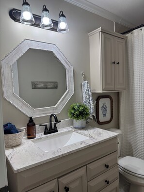 Combined shower/bathtub, hair dryer, towels, toilet paper