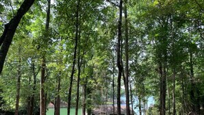A forested area with a small building, likely a cabin or lodge, surrounded by tall trees and a gravel path. - Castaway Cottage (Eclectic)