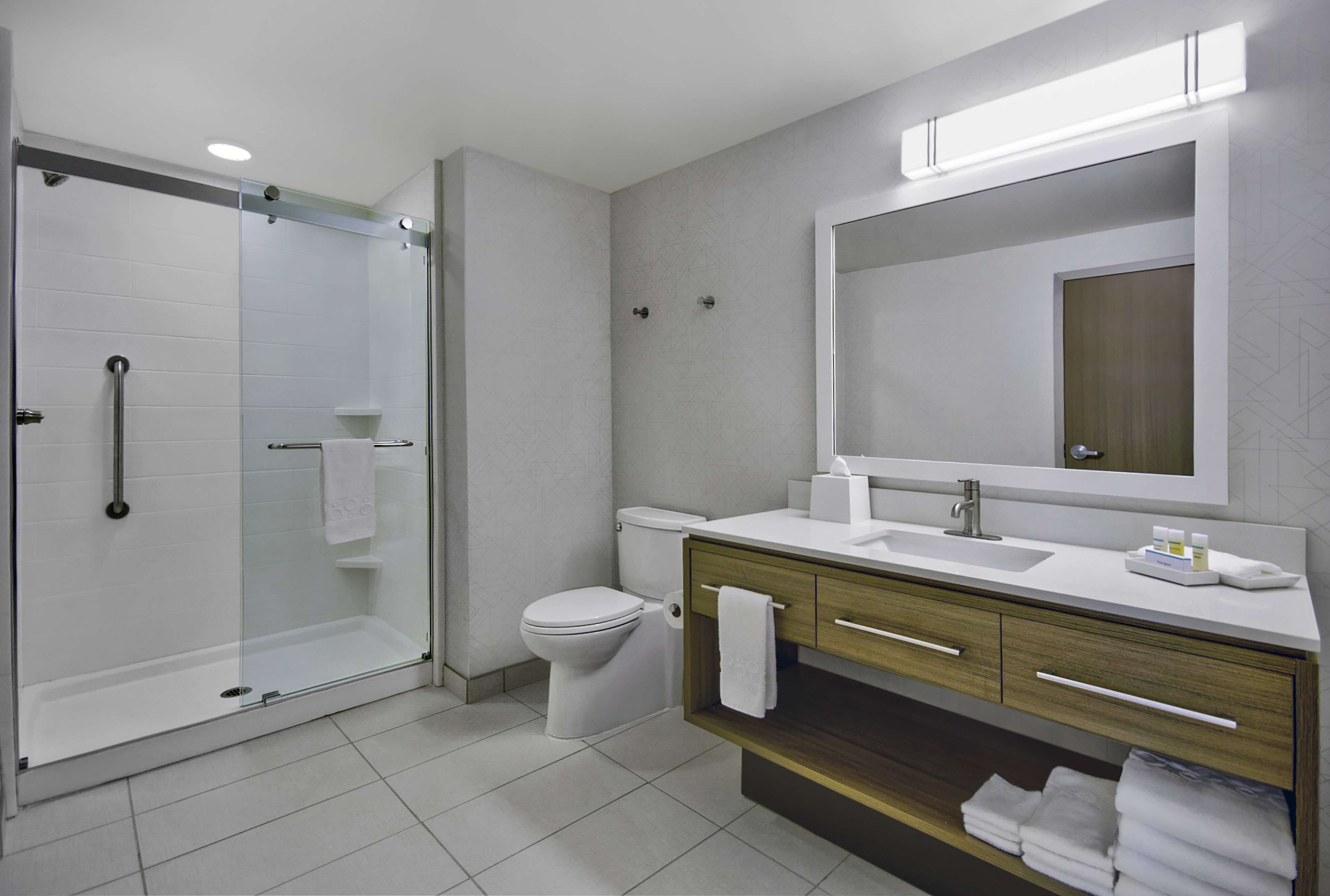 suite, 1 bedroom | bathroom shower