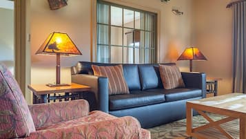 TV, fireplace, video games, DVD player