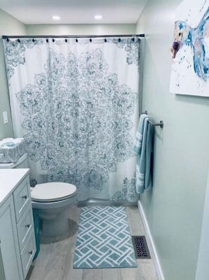 Combined shower/bathtub, hair dryer, towels, soap