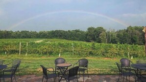 Un vignoble avec des rangées de vignes et un arc-en-ciel en arrière-plan. Au premier plan, on aperçoit des tables et des chaises en plein air.