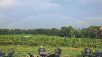 Restauration en plein air