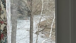 A view through a window with bare trees and a river. - Serenity, Waterfront Mountain Retreat (Eagle Rock)