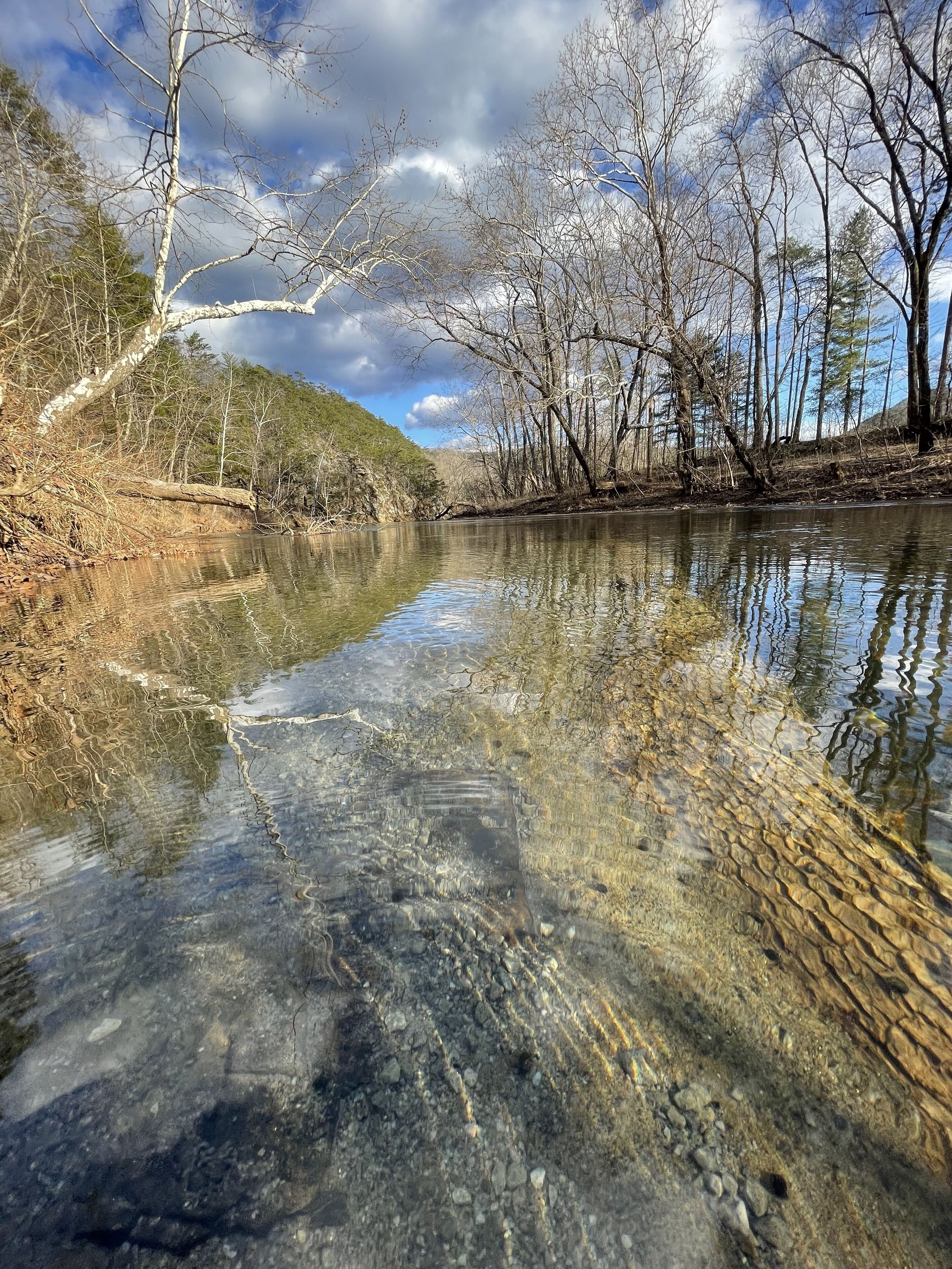 Une rivière aux eaux claires où se reflètent les arbres et un ciel nuageux.