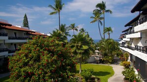 Un patio de hotel con palmeras, un camino y vista al océano.
