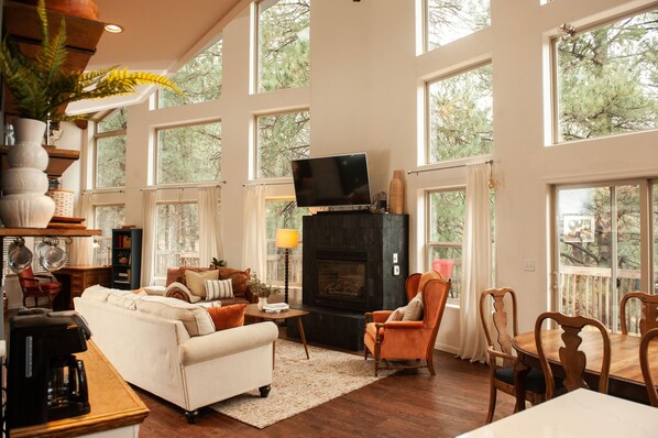 Smart TV, fireplace, DVD player, stereo