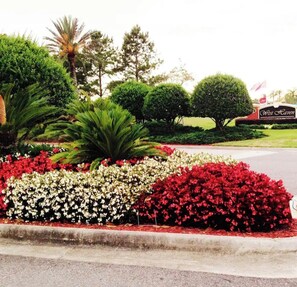 Stroll through the beautifully landscaped gardens at West Haven, featuring a variety of plants and palm trees.
