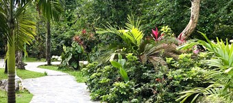 Cozy cottage in the middle of nature