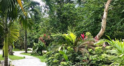 Cozy cottage in the middle of nature
