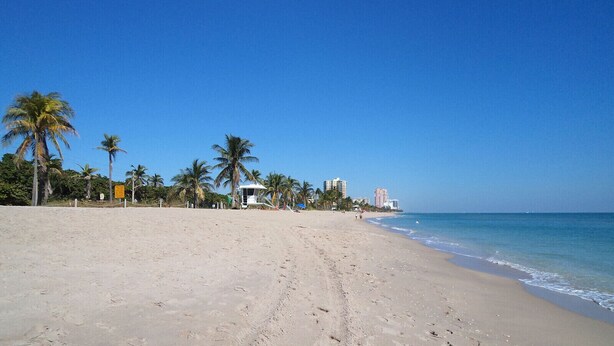 A beach with palm trees, a lifeguard tower, and buildings in the background.