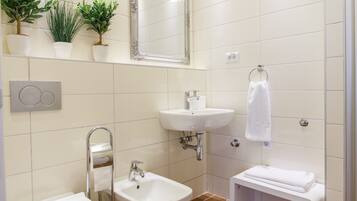 Shower, hydromassage showerhead, slippers, bidet