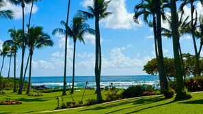 Property grounds - Lae Nani 422. Great View from this 2nd Floor Ocean Front Condo. The Main Bedroom Faces the Ocean! (Kapaʻa)