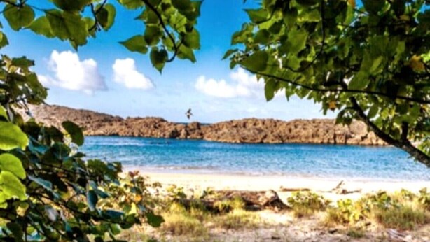 A beach with clear blue water, rocky cliffs, and greenery in the foreground. - Luxe Villa With Amazing Private Pool For 22 Guest (Manatí)