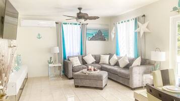 Smart TV, Netflix, streaming services