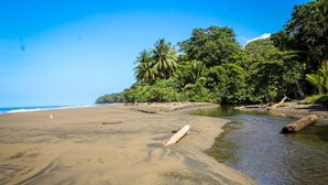 Ein Strand mit klarem Wasser, sandigem Ufer und dichter tropischer Vegetation.