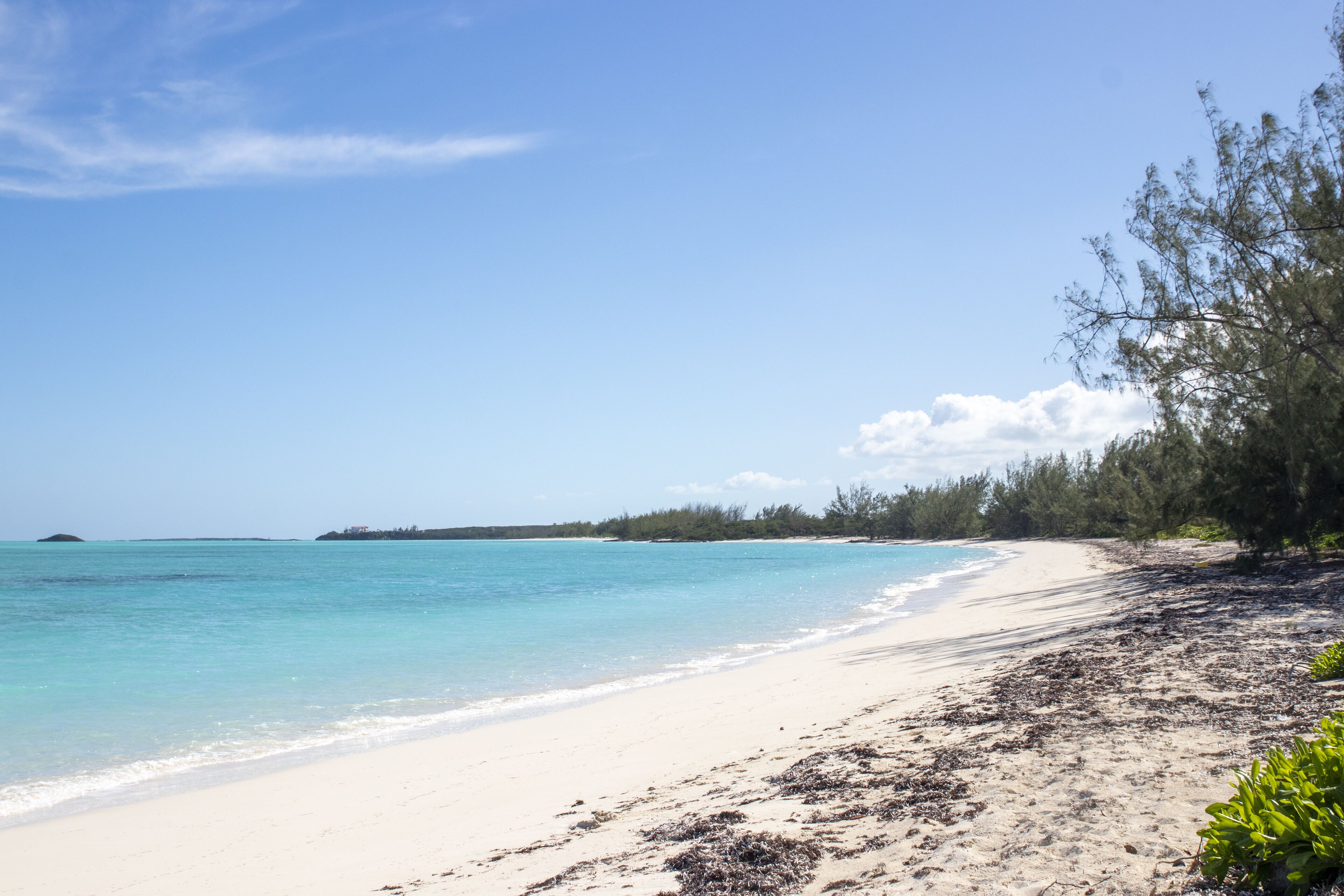 Een strand met helder turquoise water, wit zand en wat zeewier op de oever.