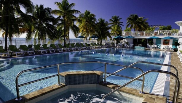A pool area with lounge chairs and palm trees. - Little Island Pearl (Key Colony Beach)